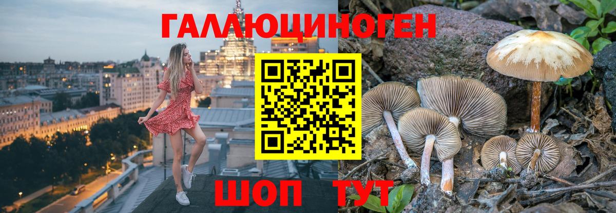 ГАШИШ Ялта